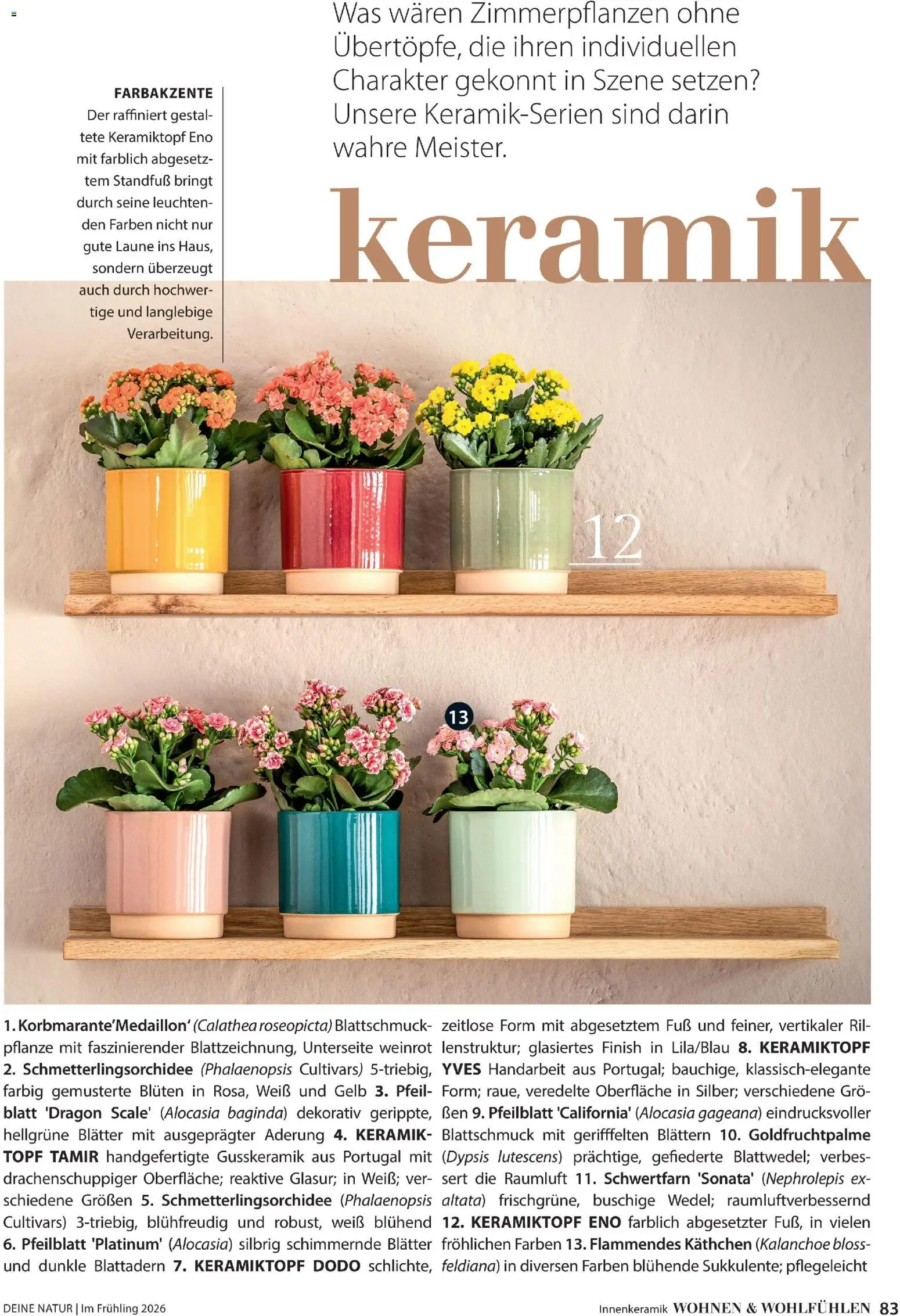 Dehner Flugblatt - page 83- valid from 05.03.2026