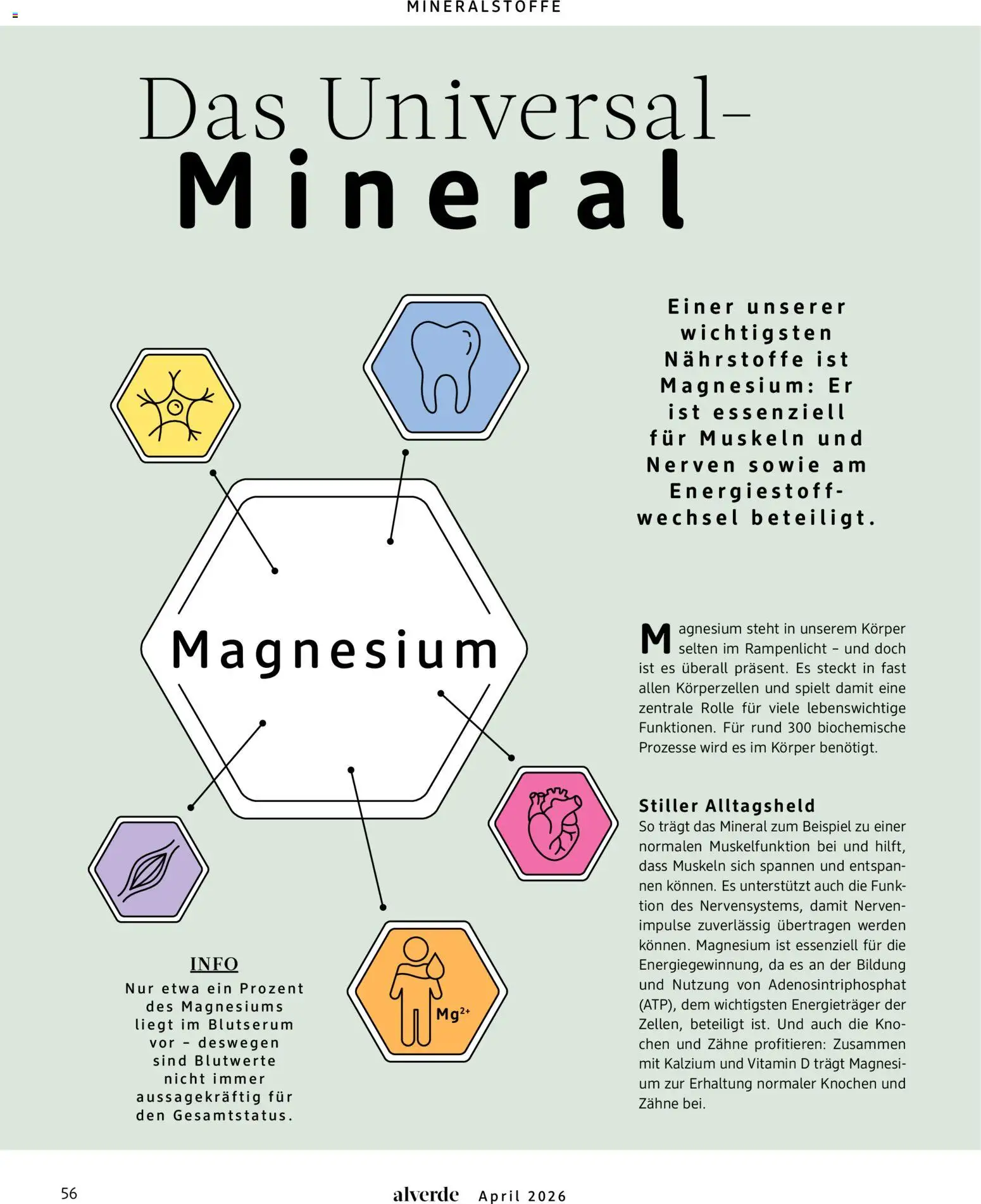 dm drogerie Prospekt 	 - Seite 56 - gültig ab 01.04.2026