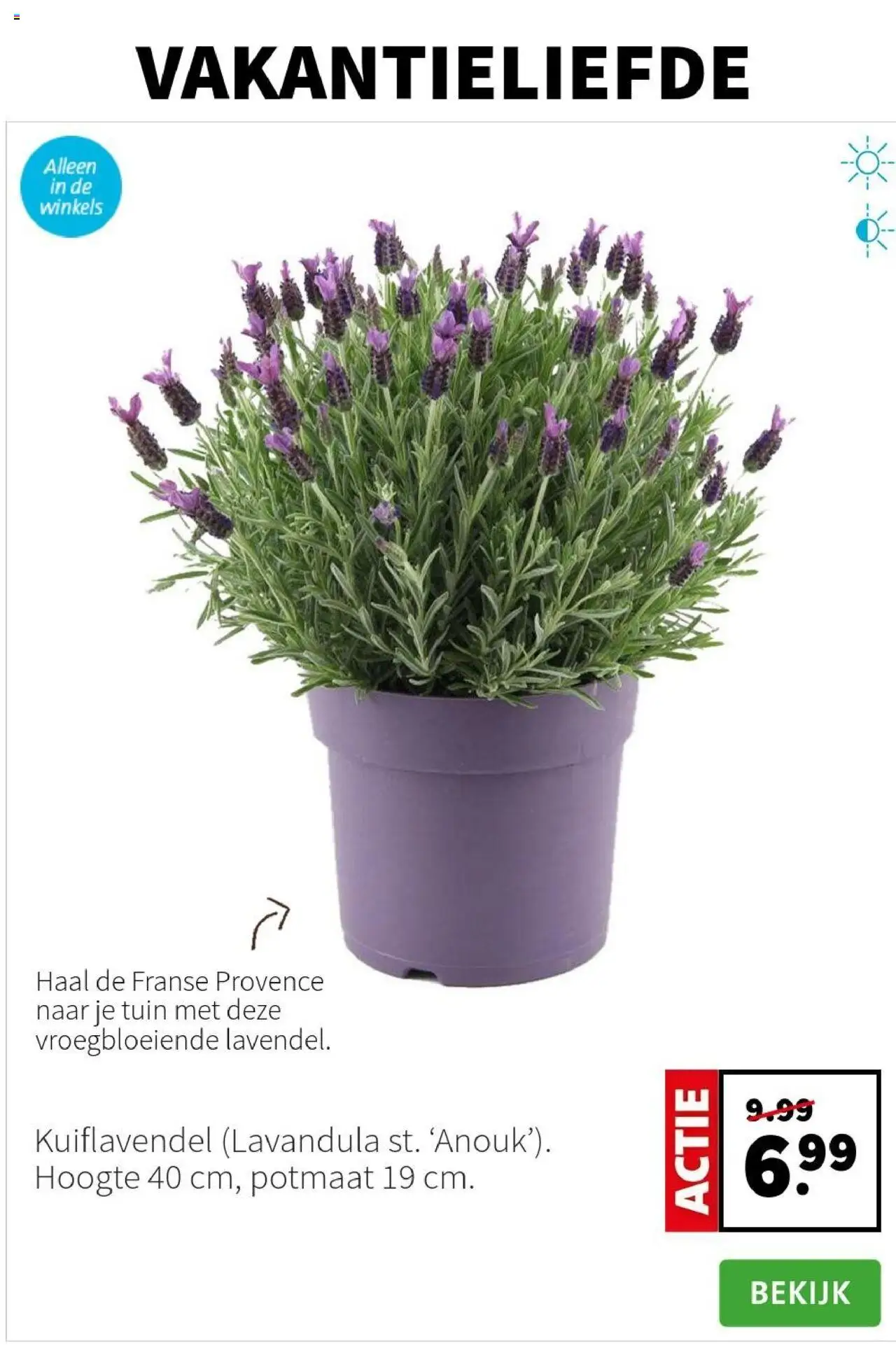 Intratuin - Folder - pagina 5- geldig vanaf 14-07-2025