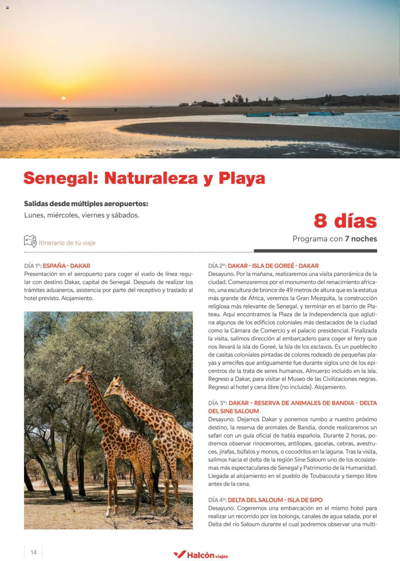 Halcón Viajes Senegal - Página de 14 - Válido desde 26/04/2024