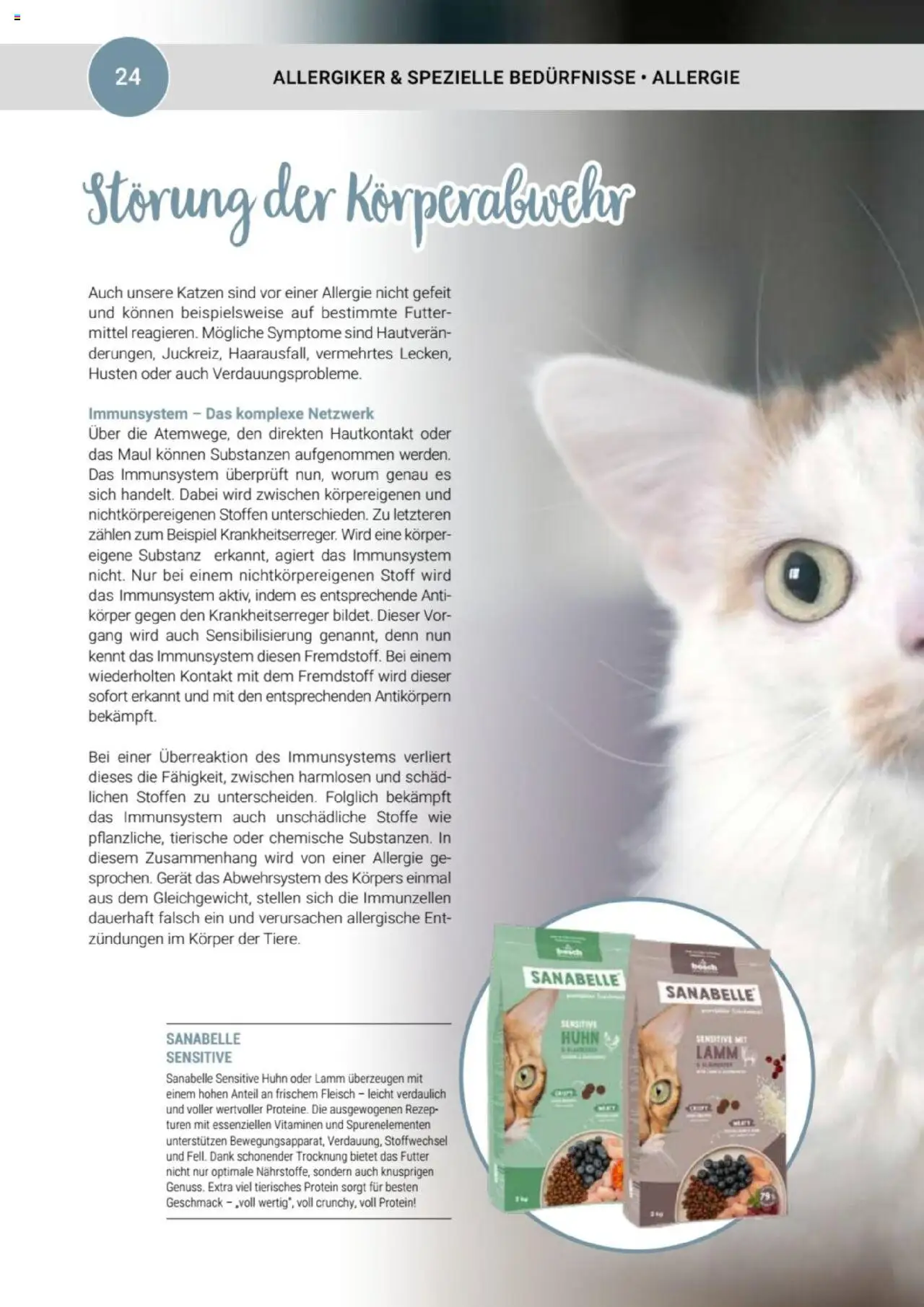 zookauf Themenkatalog Katze - Seite 24 - gültig ab 01.10.2025