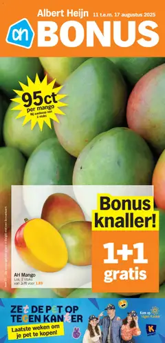 Albert Heijn folder week / de la semaine 33 geldig vanaf 11/08/2025