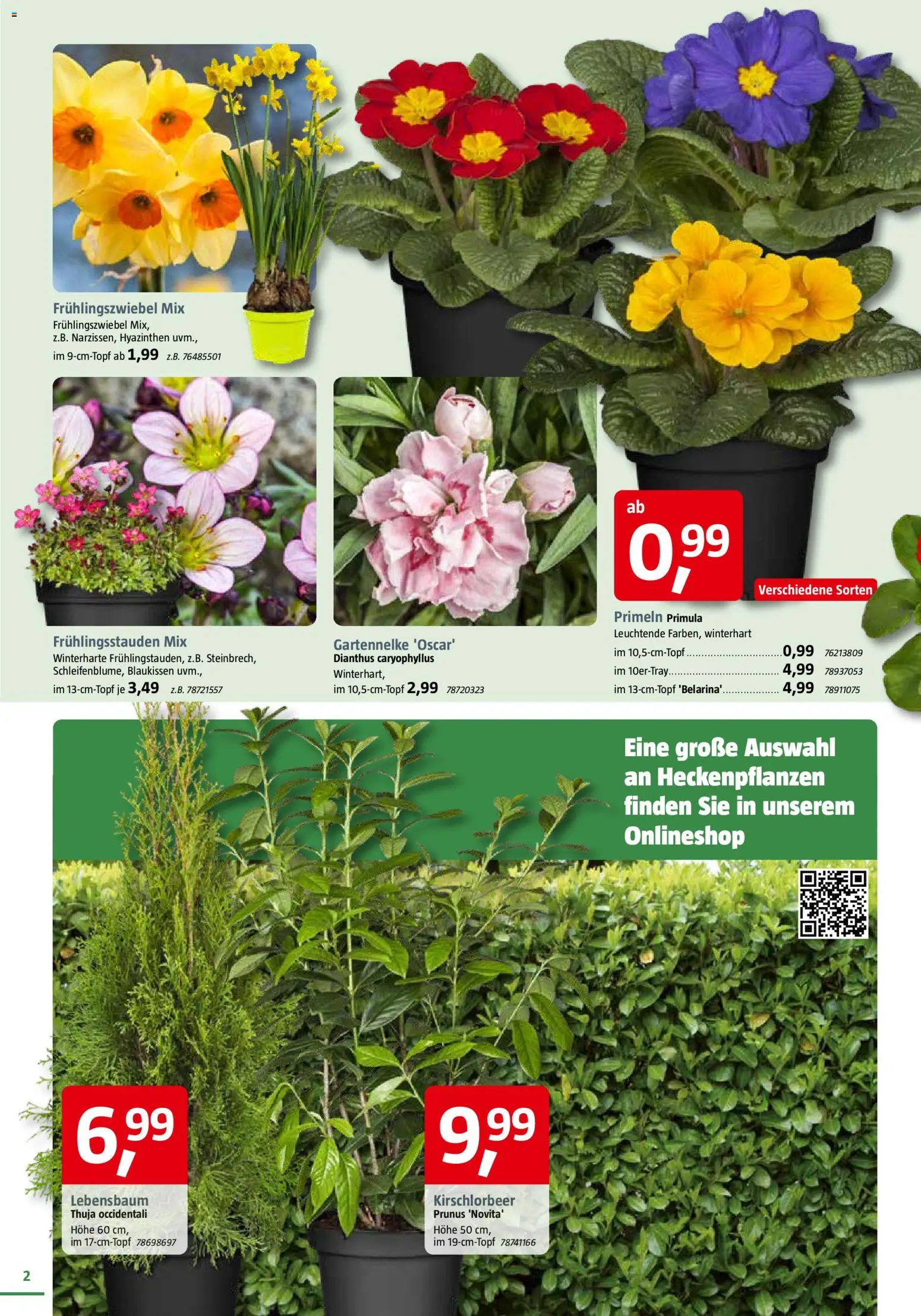 Bauhaus Prospekt 	 - Seite 2 - gültig ab 28.02.2026