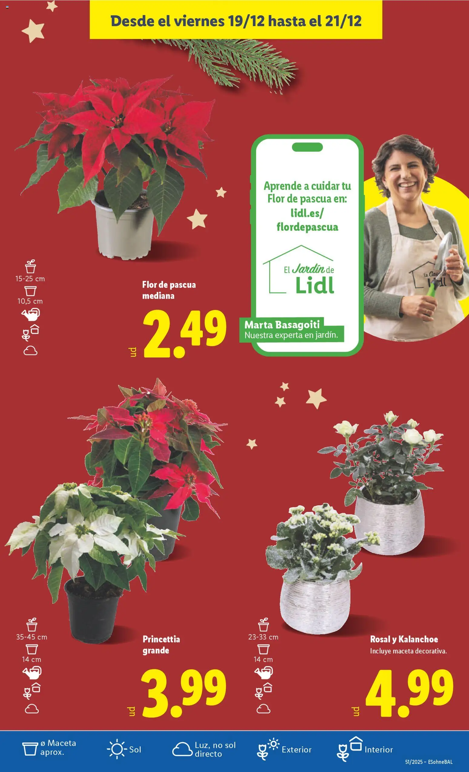 Lidl folleto - Página de 47 - Válido desde 15/12/2025