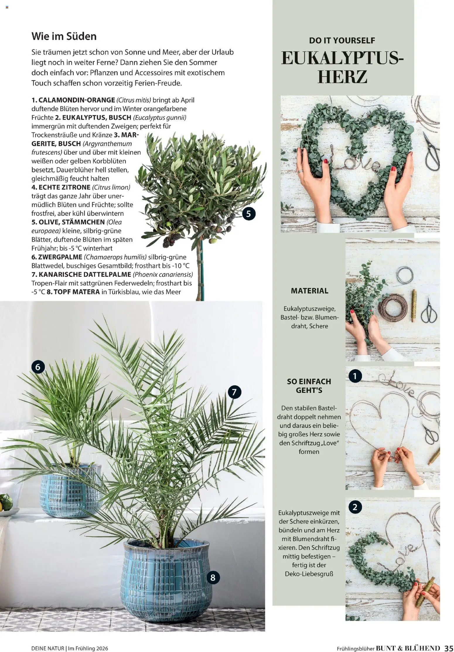 Dehner Flugblatt - page 35- valid from 05.03.2026