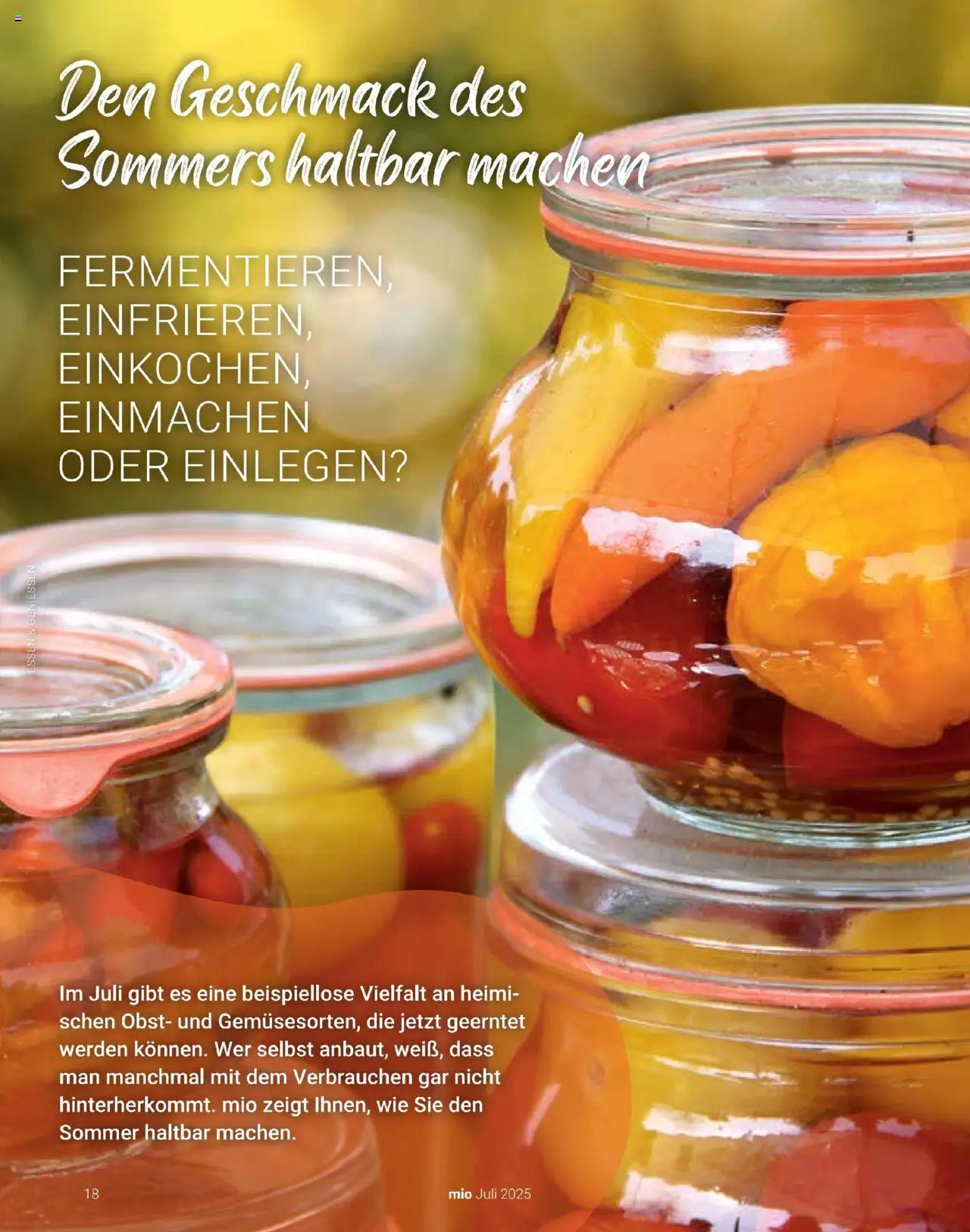 Globus Mio Magazin - Seite 18 - gültig ab 01.07.2025