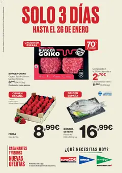 Vista previa del folleto El Corte Inglés ofertas válido desde 23/01/2026