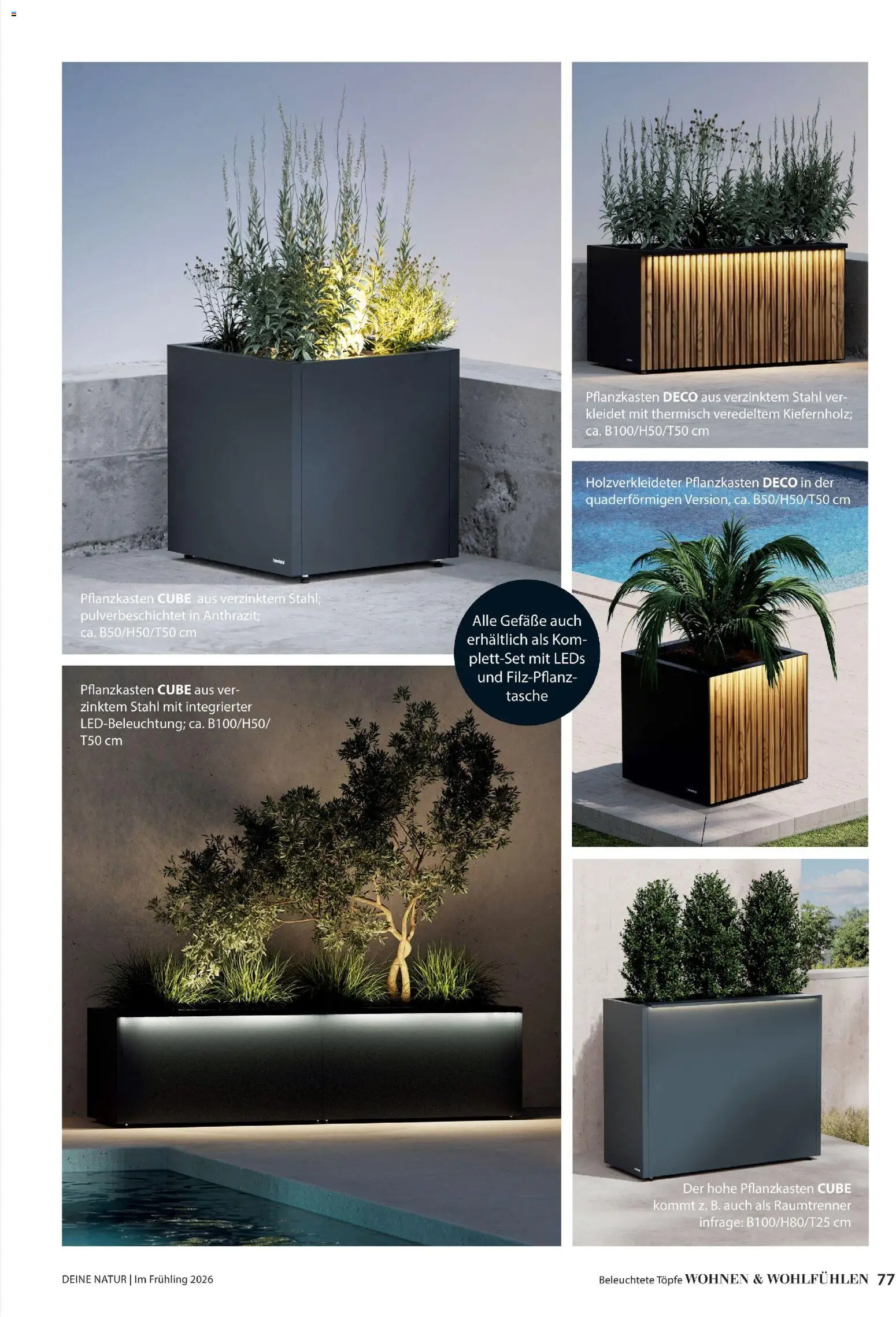 Dehner Flugblatt - page 77- valid from 05.03.2026