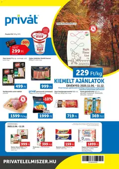 Előnézet PRIVÁT Déli vármegyék érvényes 2025.11.06.-tól