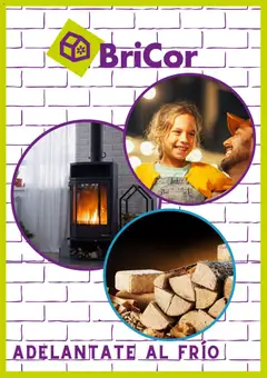 Vista previa del folleto BriCor folleto válido desde 04/11/2025