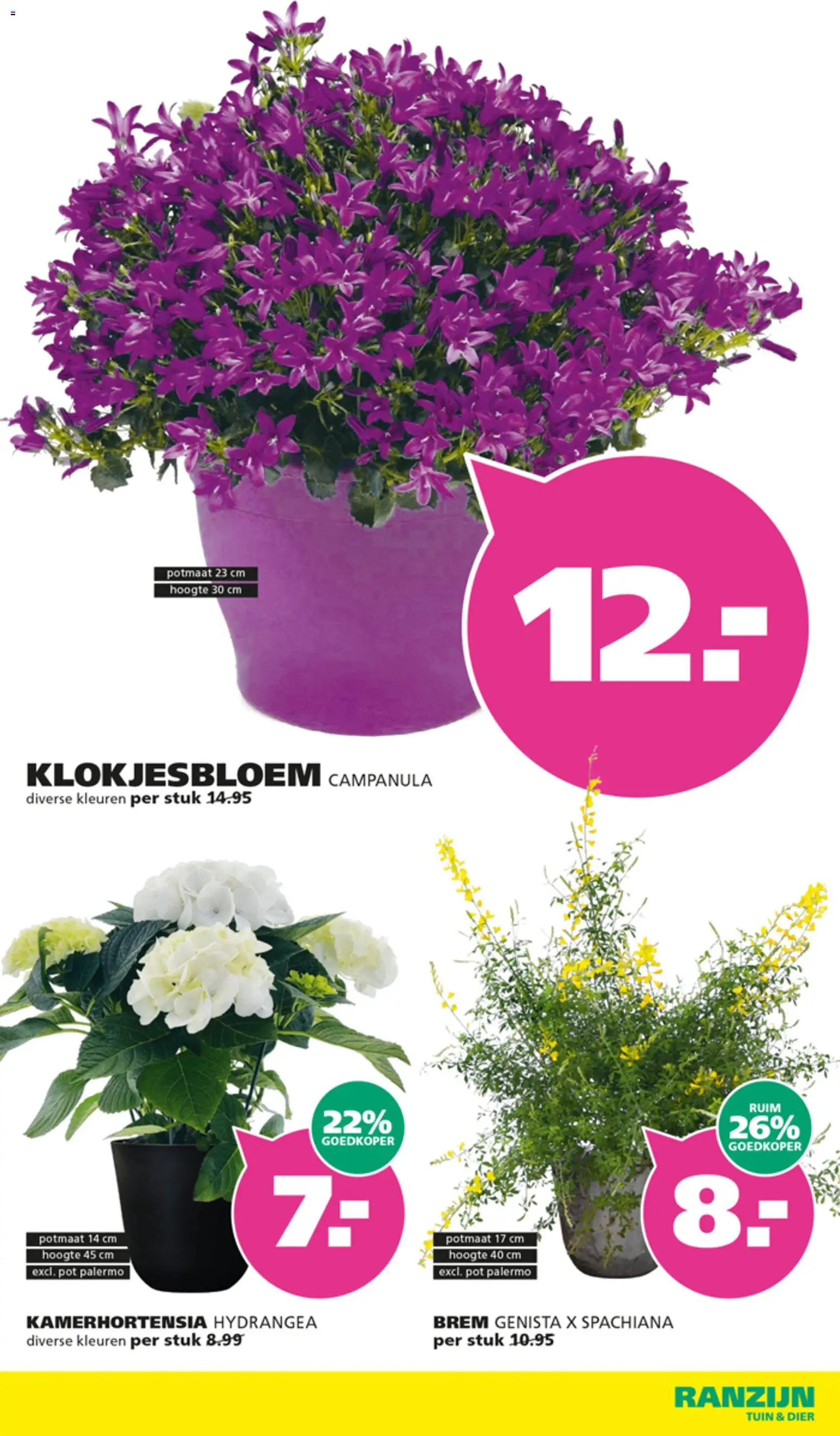 Ranzijn folder - page 2- valid from 29-03-2026