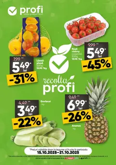 Catalog Profi Fresh City valabil de la 15.10.2025