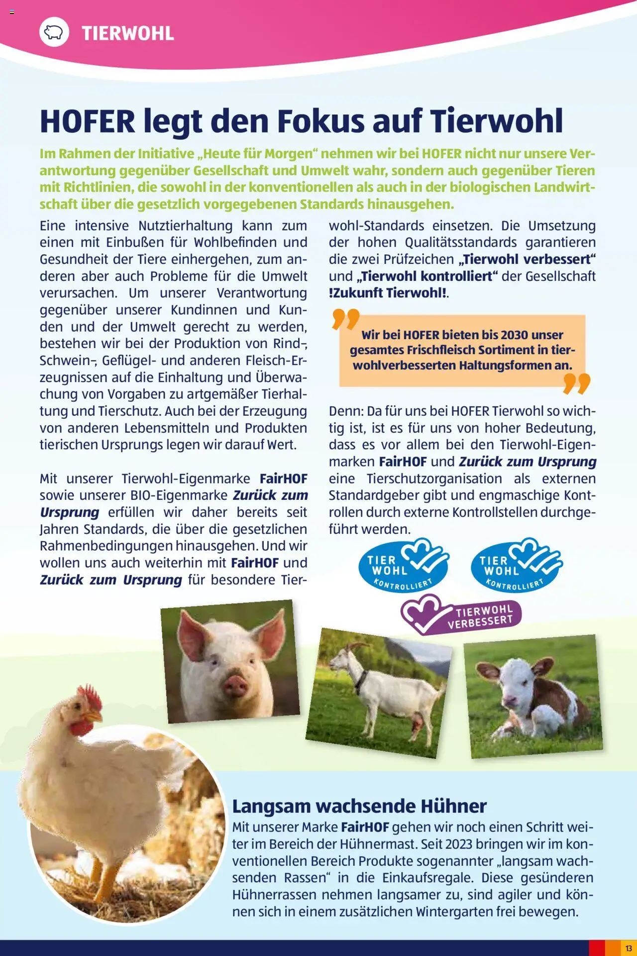 Hofer Heute für Morgen-Magazin - page 13- valid from 02.10.2024