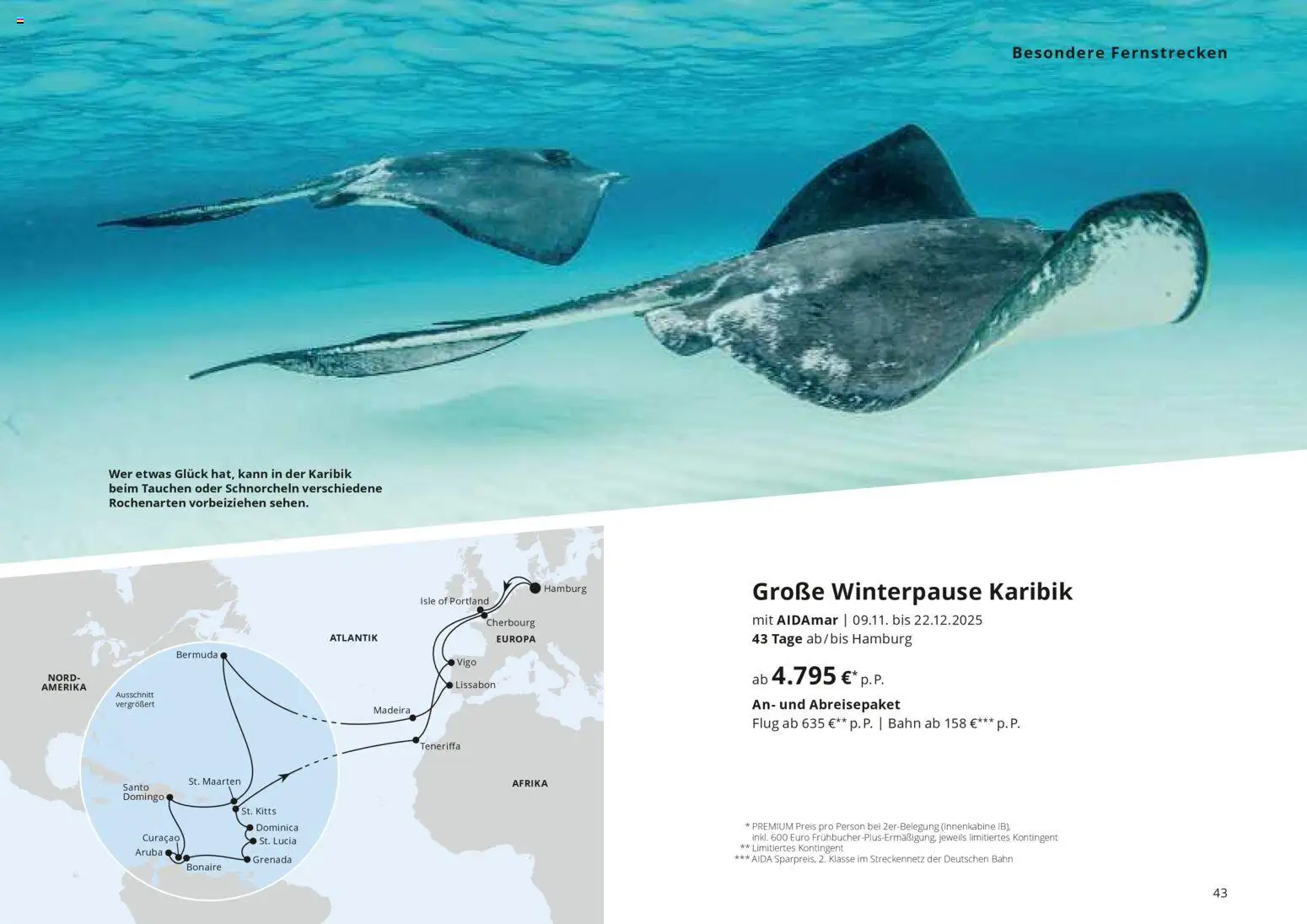 Aida Fernreisen Winter - Seite 43 - gültig ab 01.10.2025