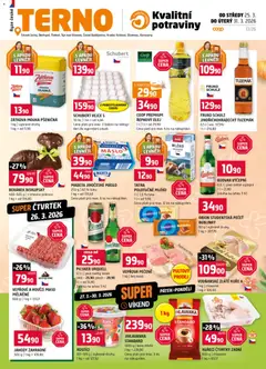 Náhled Terno leták platný od 25.03.2026