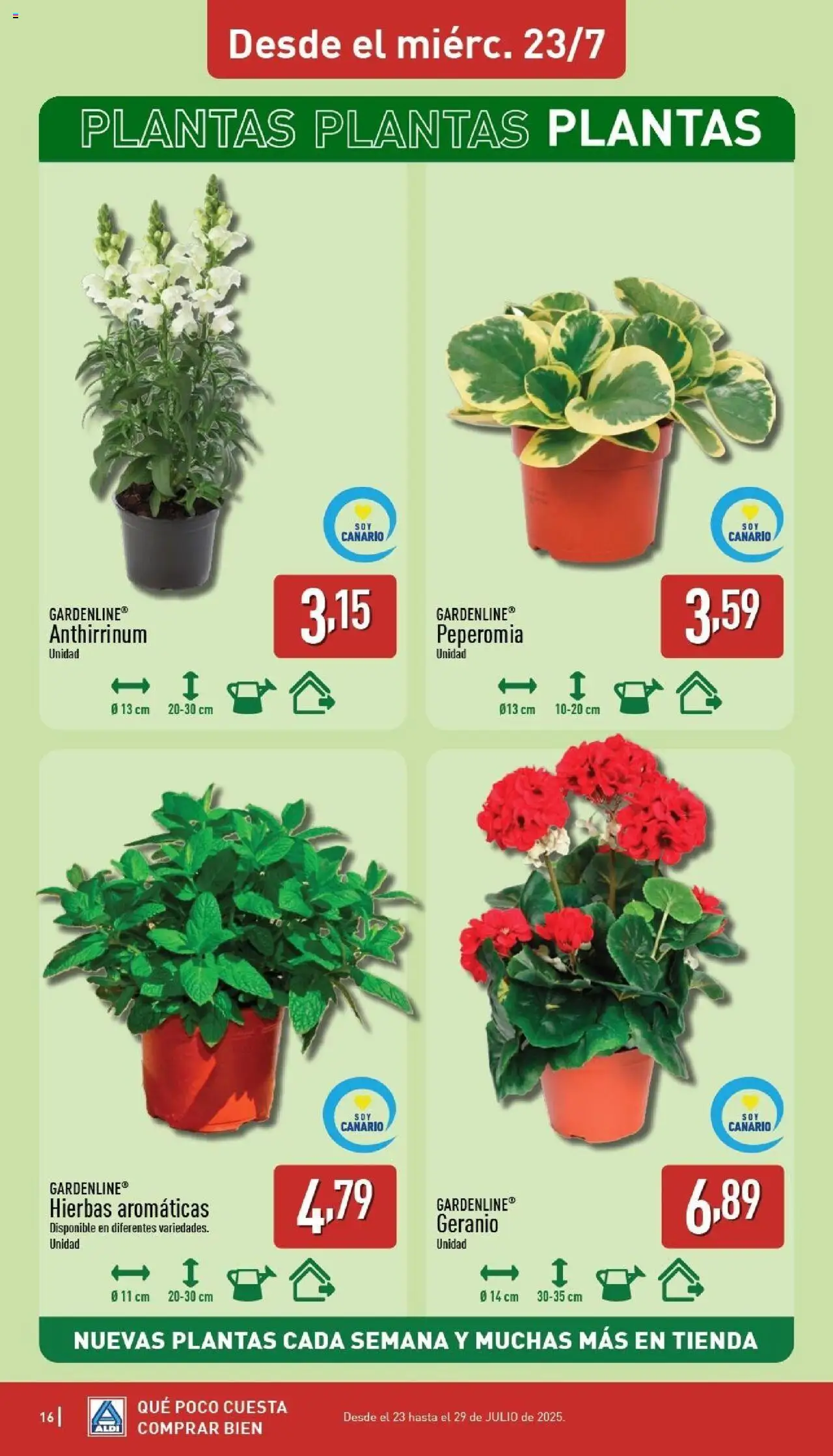 Aldi folleto Canarias - Página de 16 - Válido desde 21/07/2025