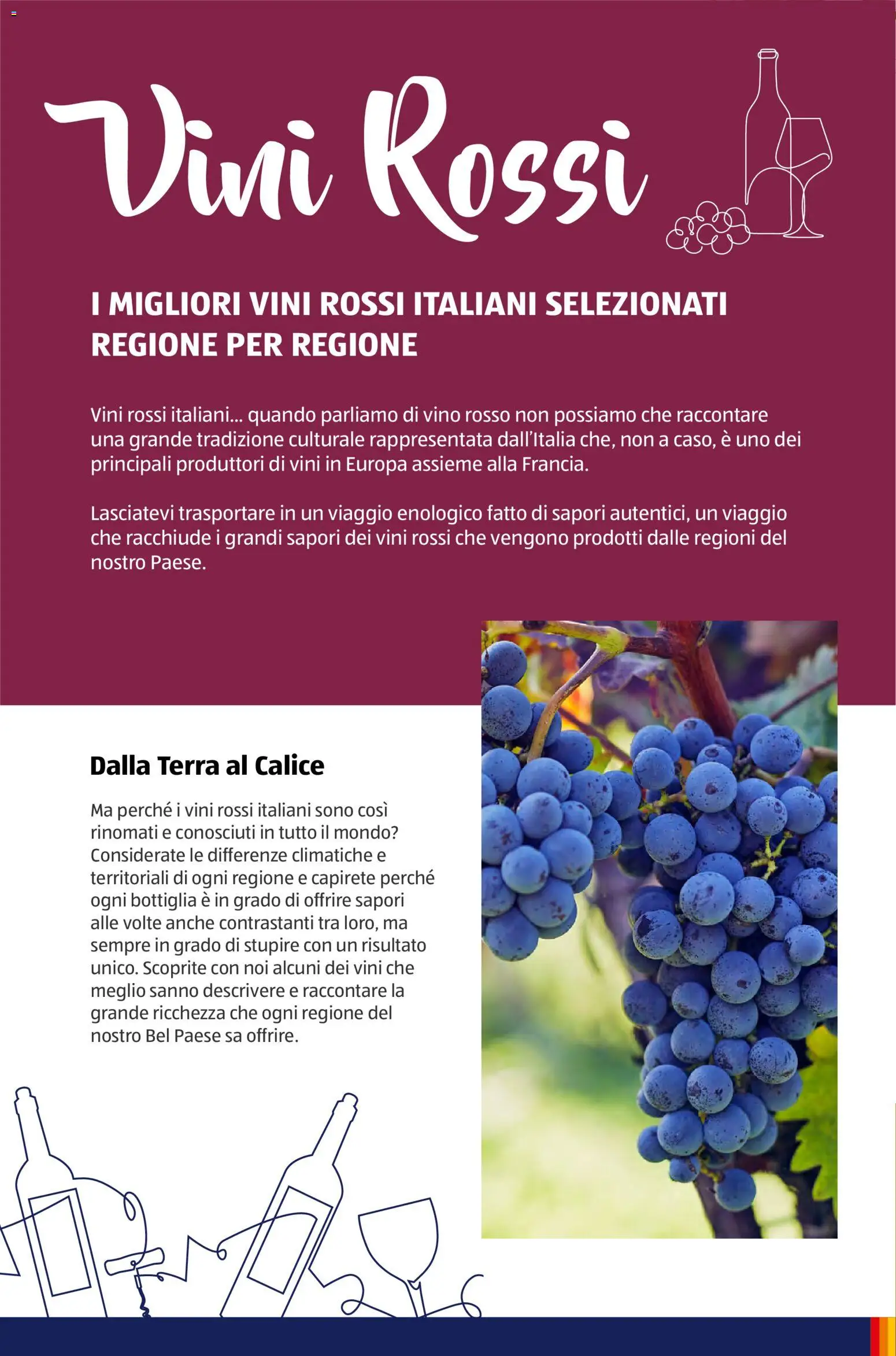 Aldi Vinoteca catalogo - pagina 8 - valido dal 12/01/2026