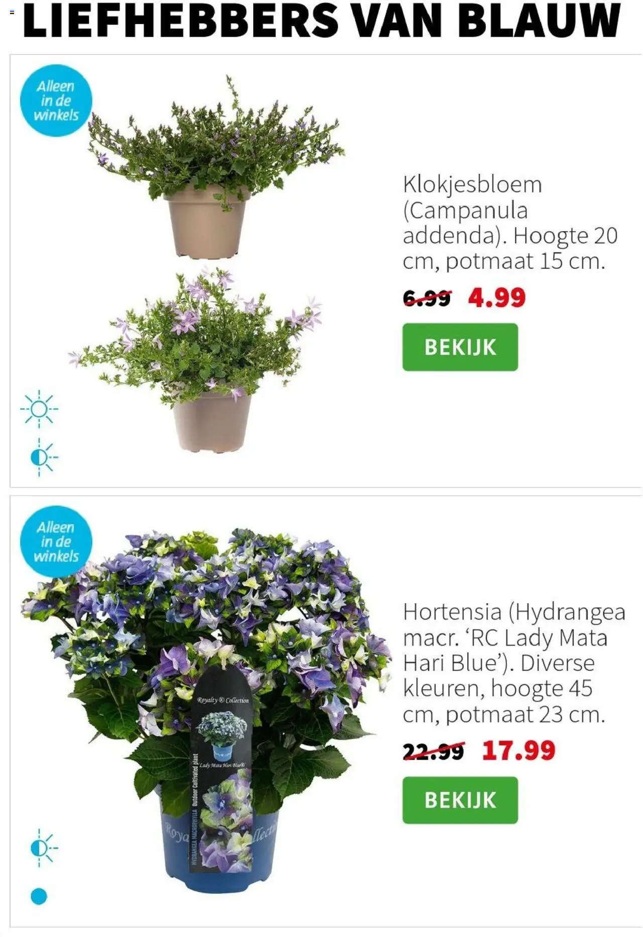 Intratuin - Folder - pagina 6- geldig vanaf 14-07-2025