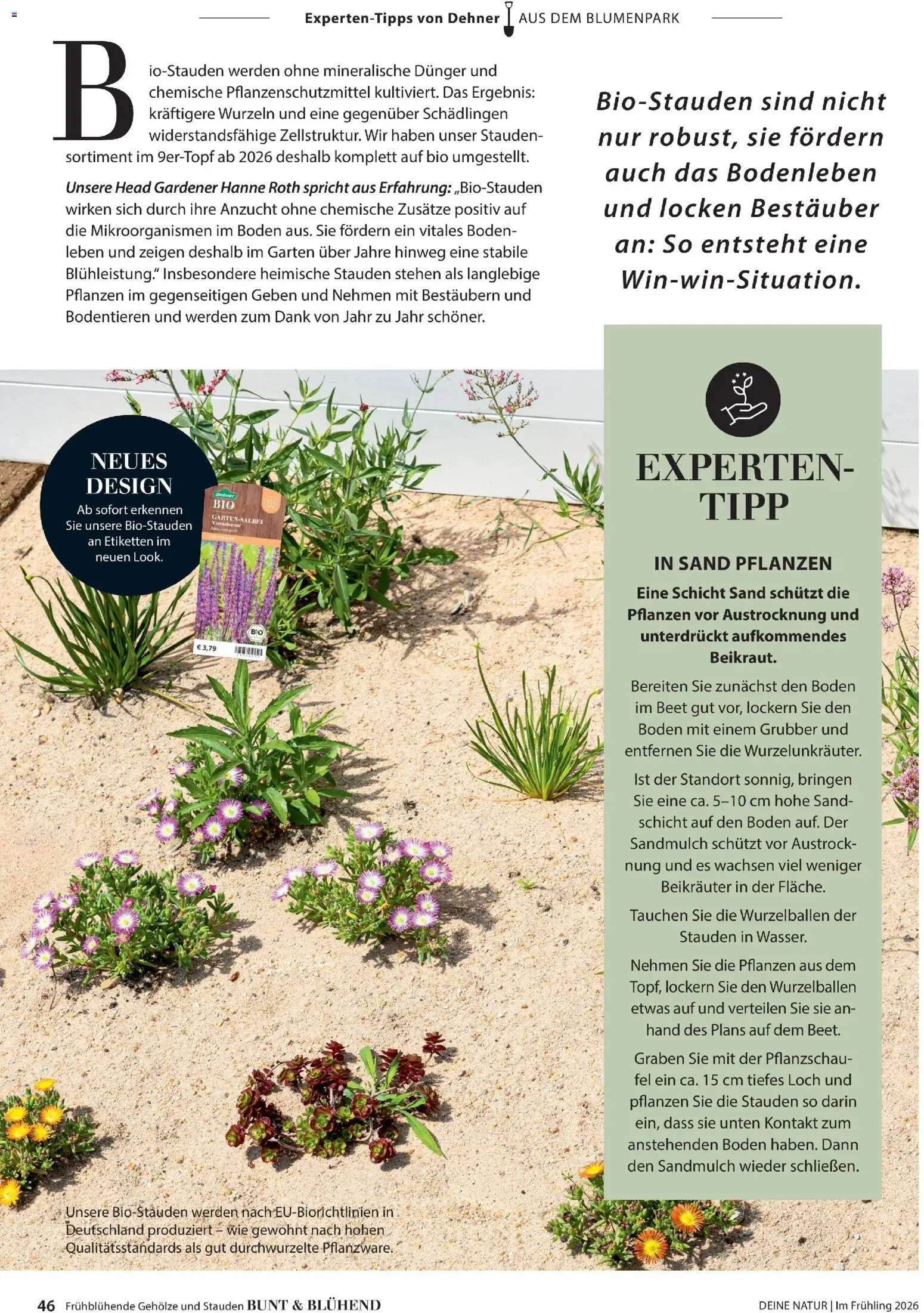 Dehner Prospekt 	 - Seite 46 - gültig ab 04.03.2026