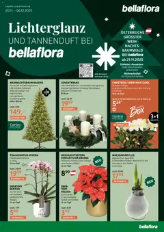 Vorschau bellaflora Flugblatt gültig ab 20.11.2025