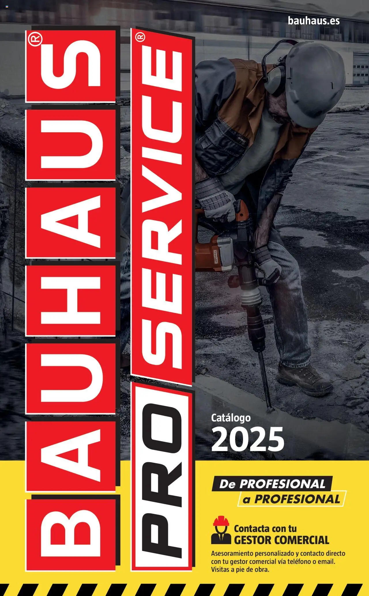 Bauhaus - ProService  - Página de 1 - Válido desde 24/02/2025