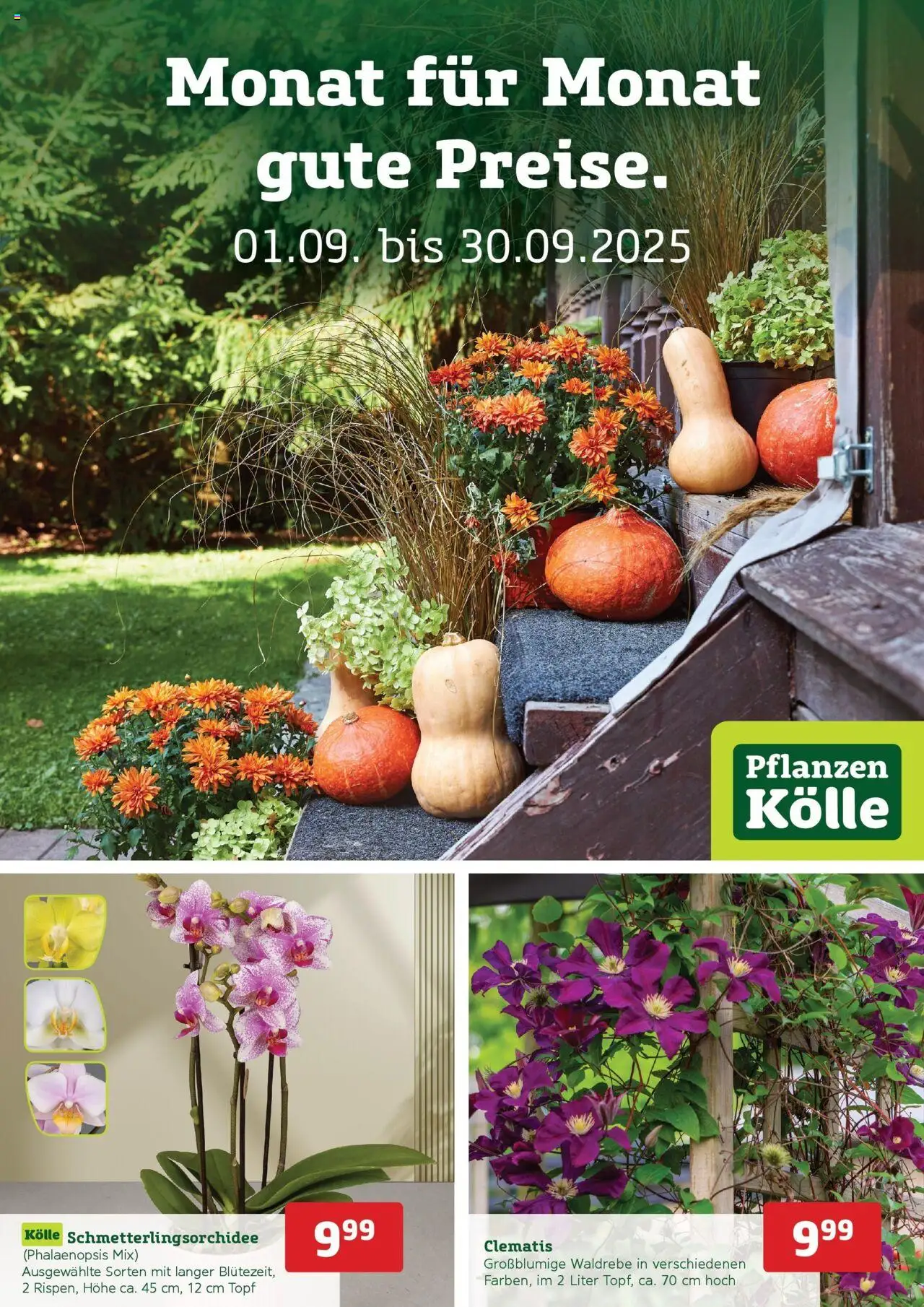 Pflanzen-Kölle Prospekt 	 - Seite 1 - gültig ab 31.08.2025