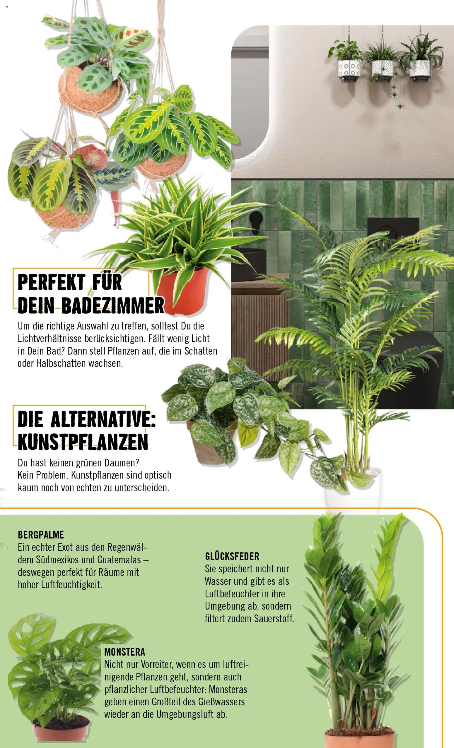 Hornbach Prospekt 	 - Seite 67 - gültig ab 02.02.2026