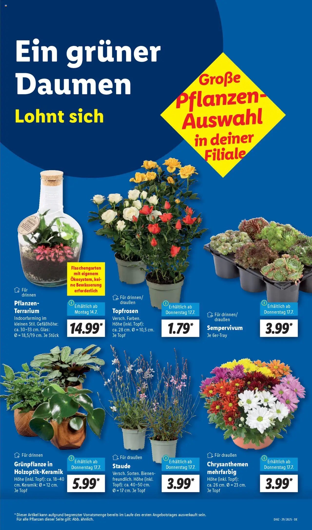 Lidl Prospekt 	 - Seite 17 - gültig ab 14.07.2025