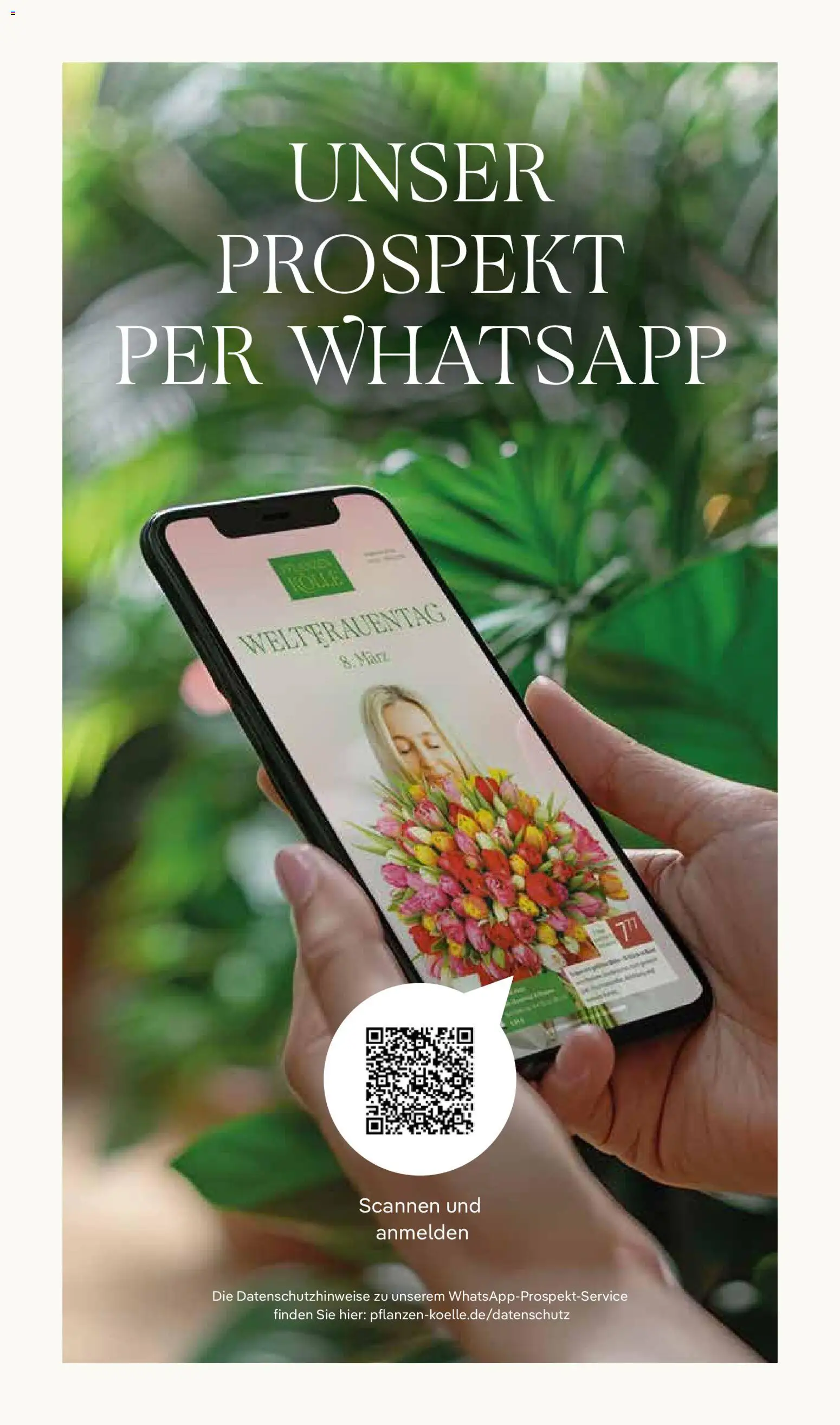 Pflanzen-Kölle Prospekt 	 - Seite 18 - gültig ab 02.03.2026