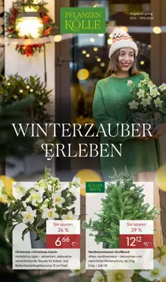 Vorschau Pflanzen-Kölle Prospekt 	 gültig ab 03.11.2025