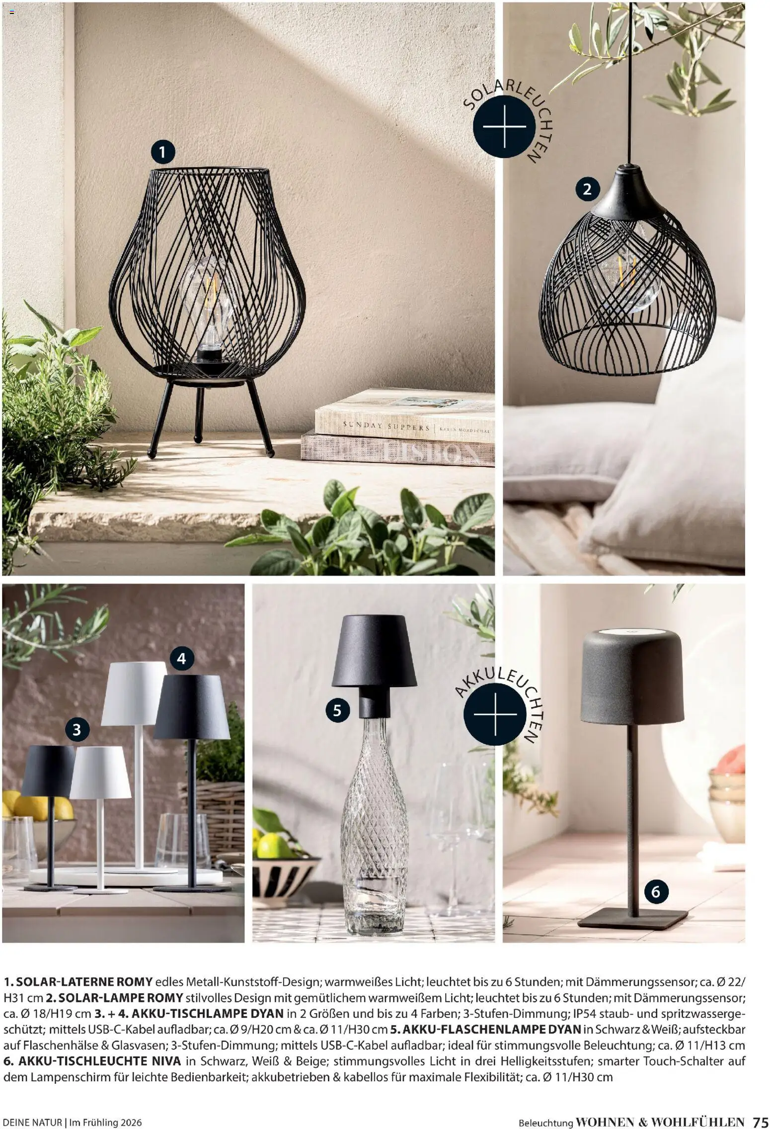 Dehner Flugblatt - page 75- valid from 05.03.2026