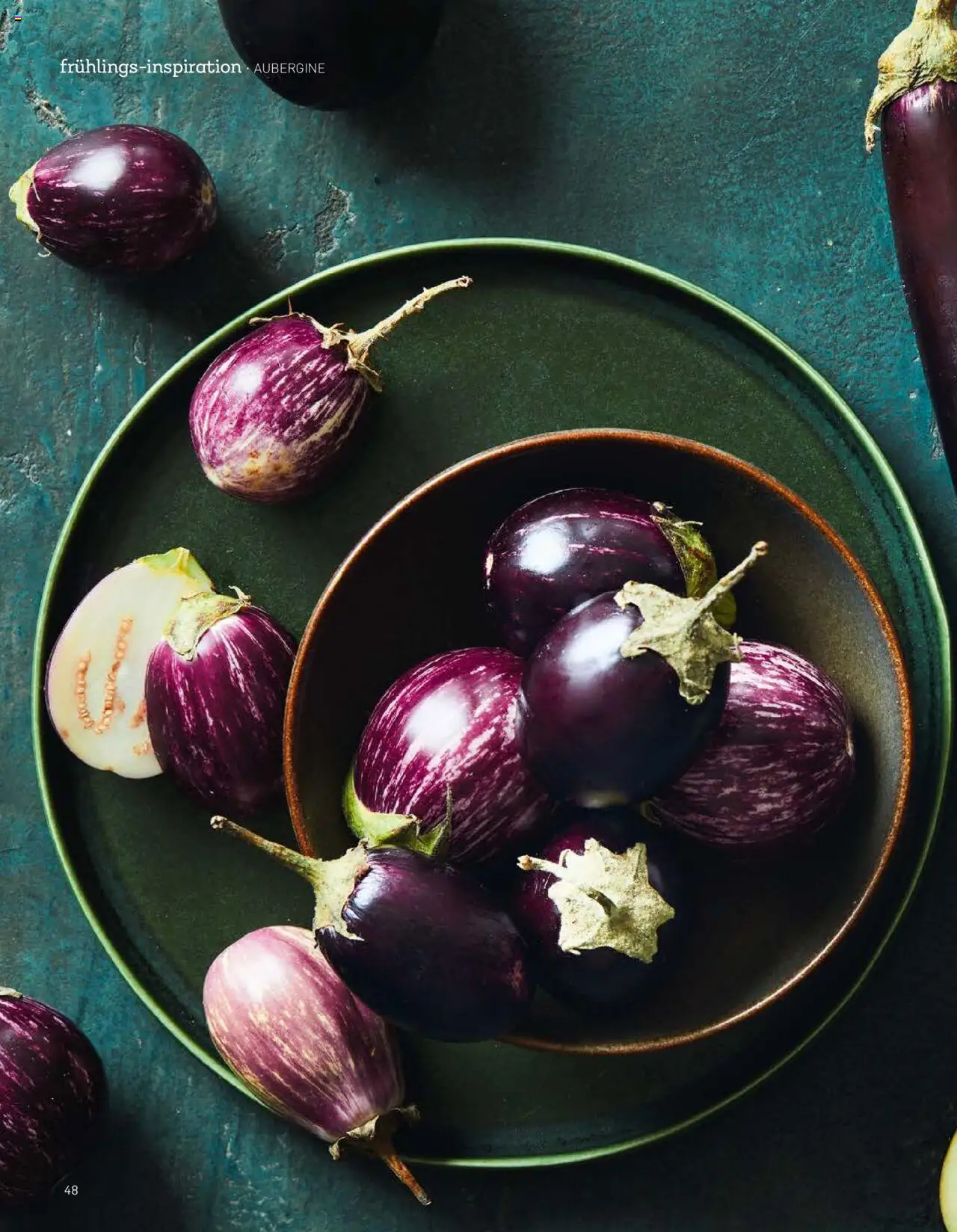Aldi Aktuelle Fruhlings - Inspiration - Seite 48- gültig ab 07.04.2025