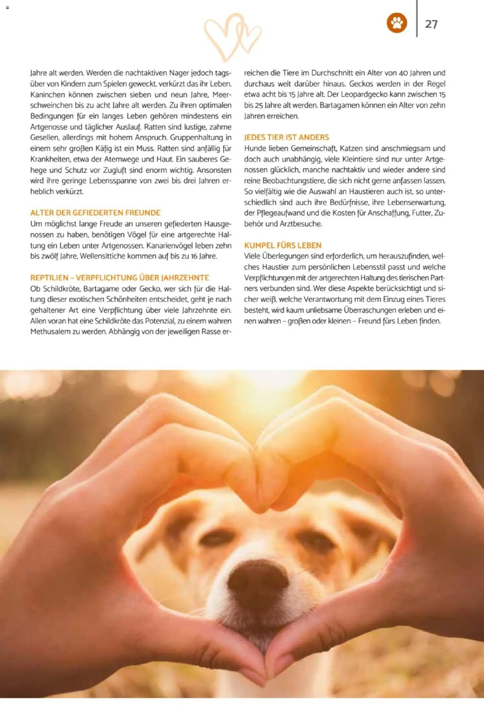 zookauf  Heimtier Journal - Seite 27 - gültig ab 01.02.2026
