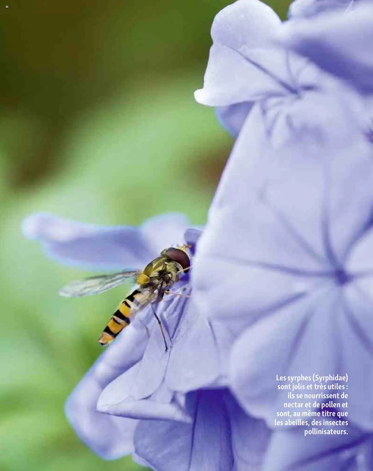 Maxi ZOO Le magazine - page 12 - valable à partir du 05/05/2025