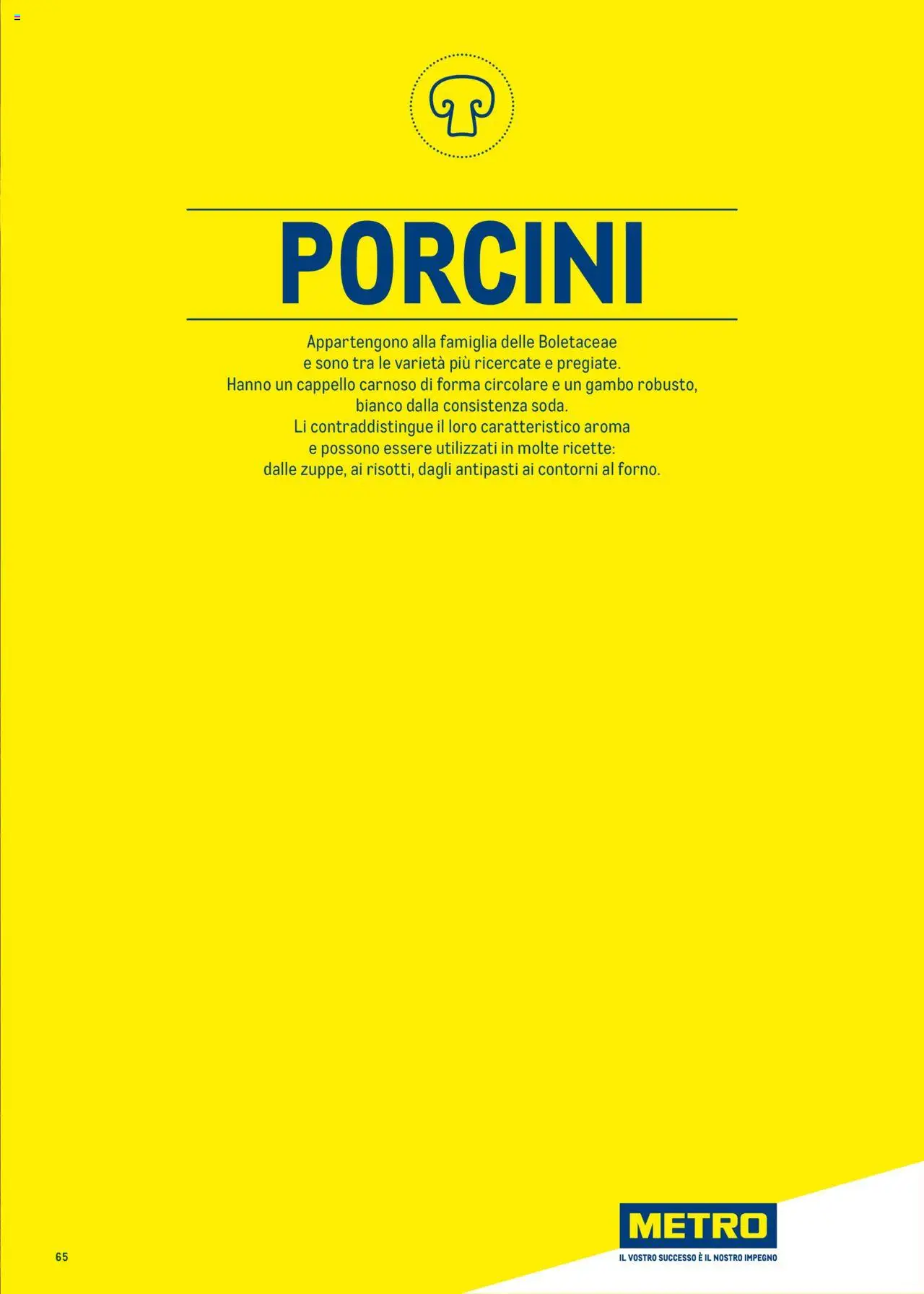 Metro Surgelati 2025 catalogo - pagina 65 - valido dal 30/06/2025