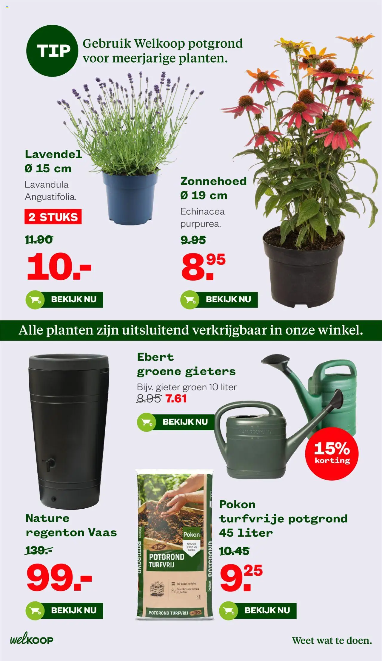 Welkoop - Folder - pagina 13- geldig vanaf 14-07-2025
