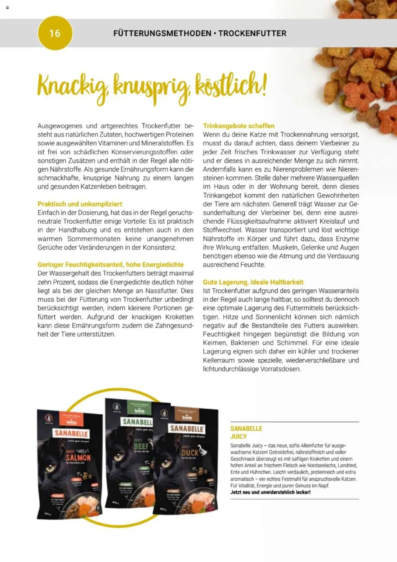 zookauf Themenkatalog Katze - Seite 16 - gültig ab 01.10.2025