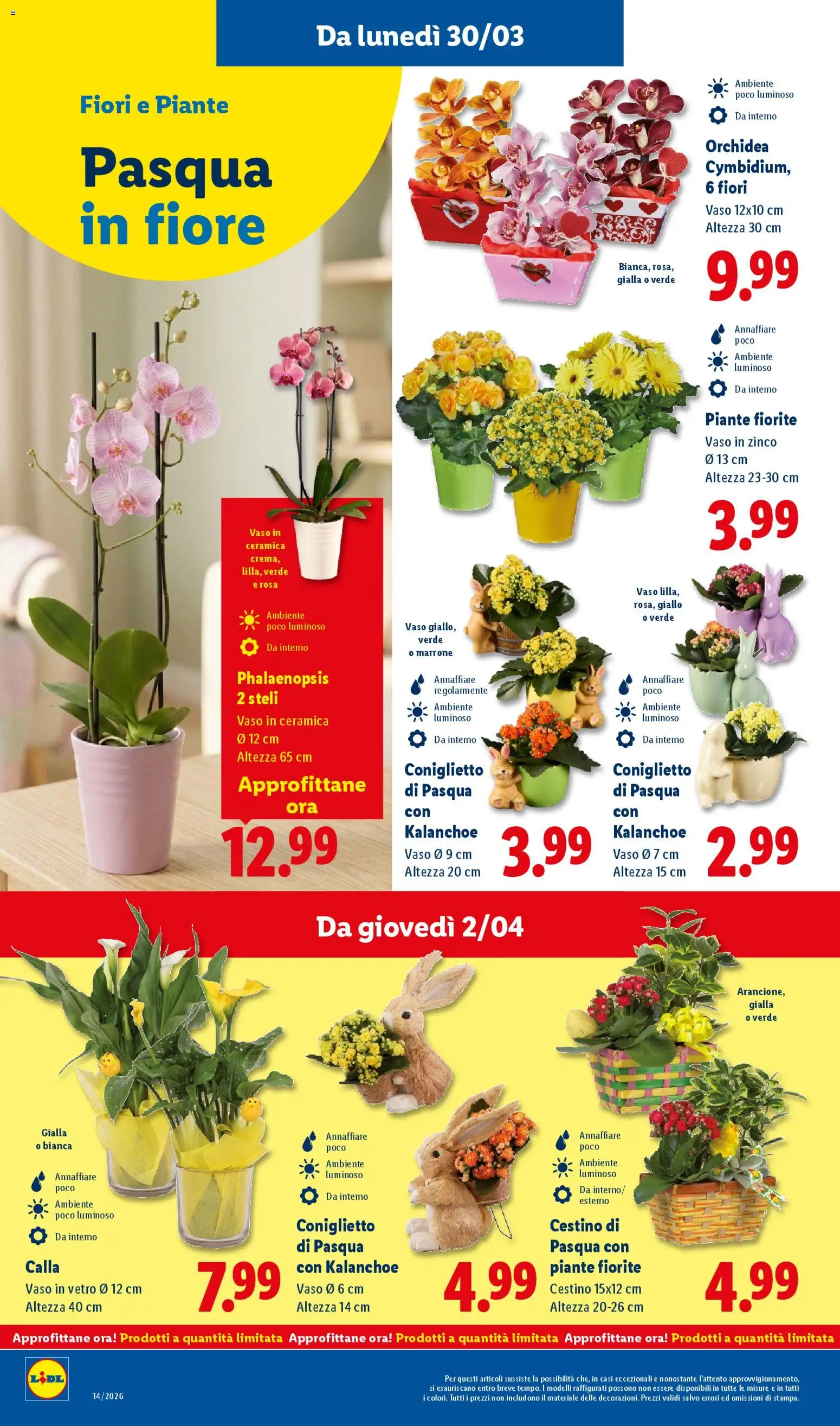 Lidl volantino - pagina 50 - valido dal 30/03/2026