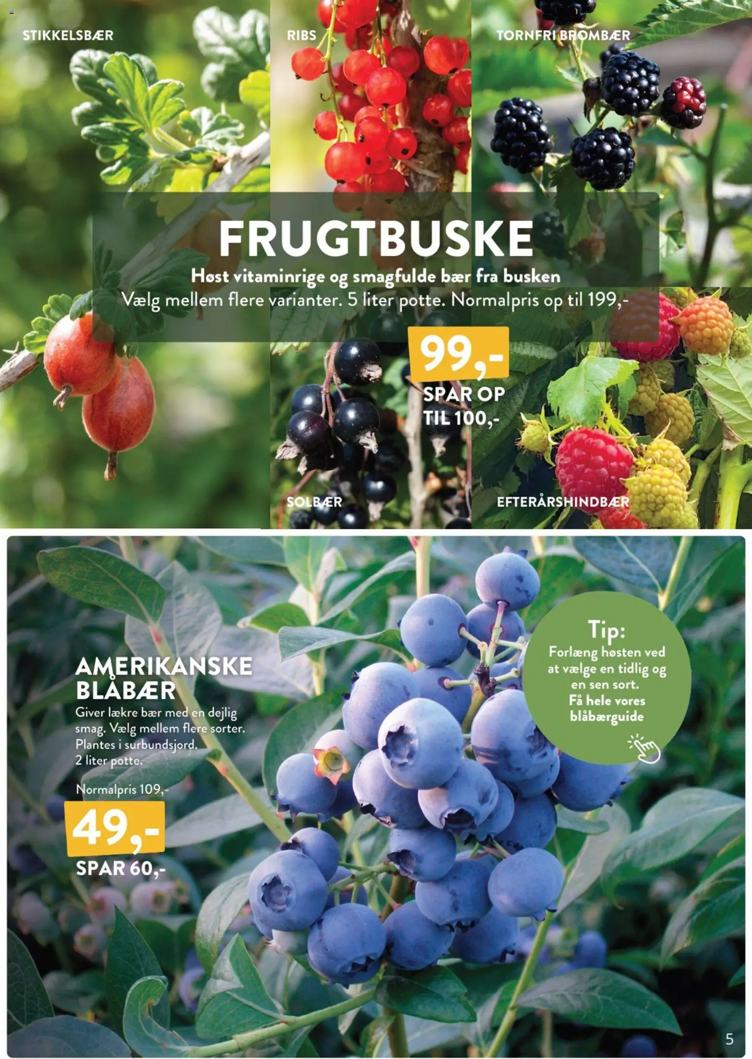 Plantorama - Tilbudsavis - page 5- valid from 27/03/2026