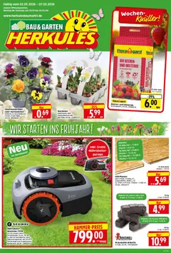 Vorschau HERKULES Bau & Garten gültig ab 02.03.2026