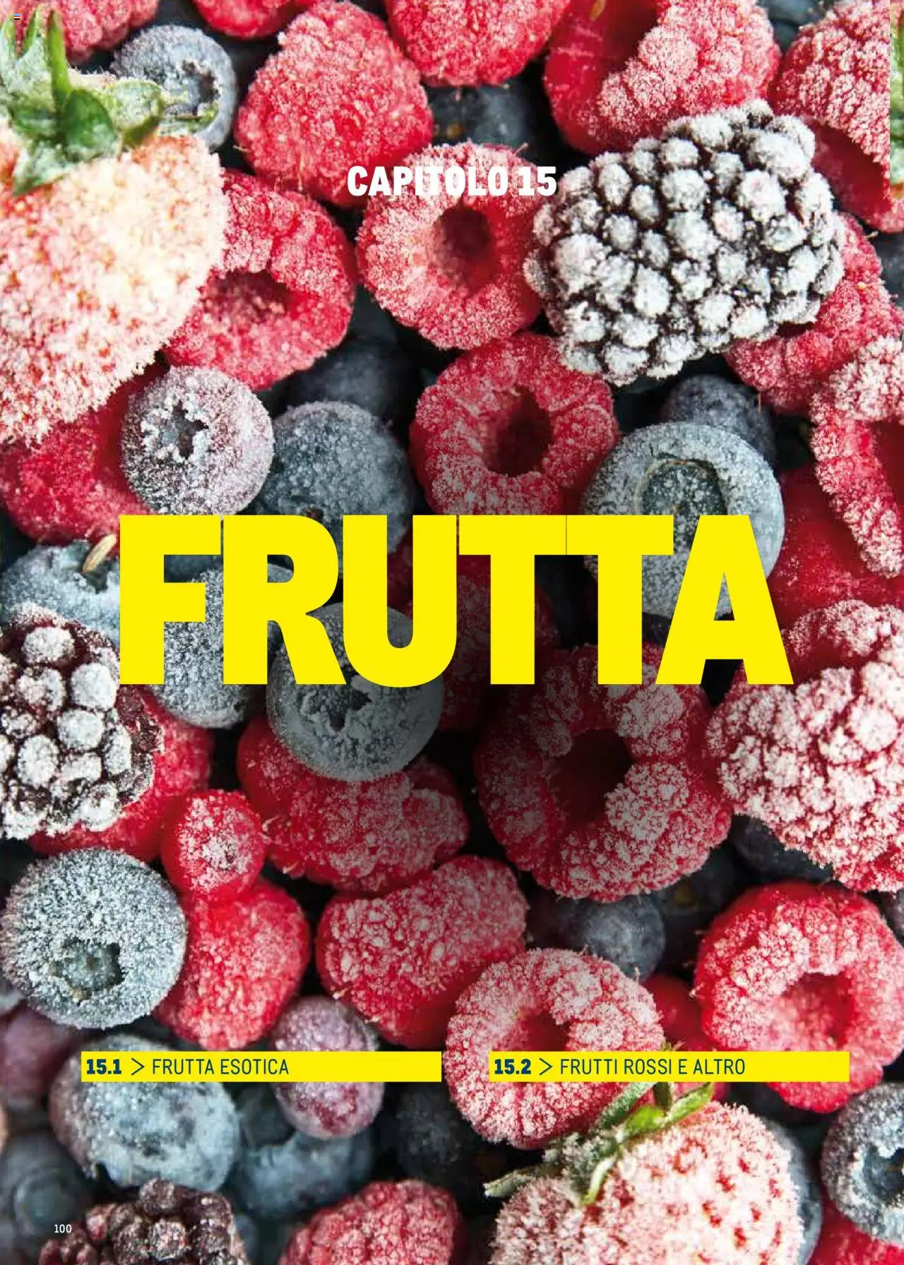 Metro Surgelati 2025 catalogo - pagina 100 - valido dal 30/06/2025