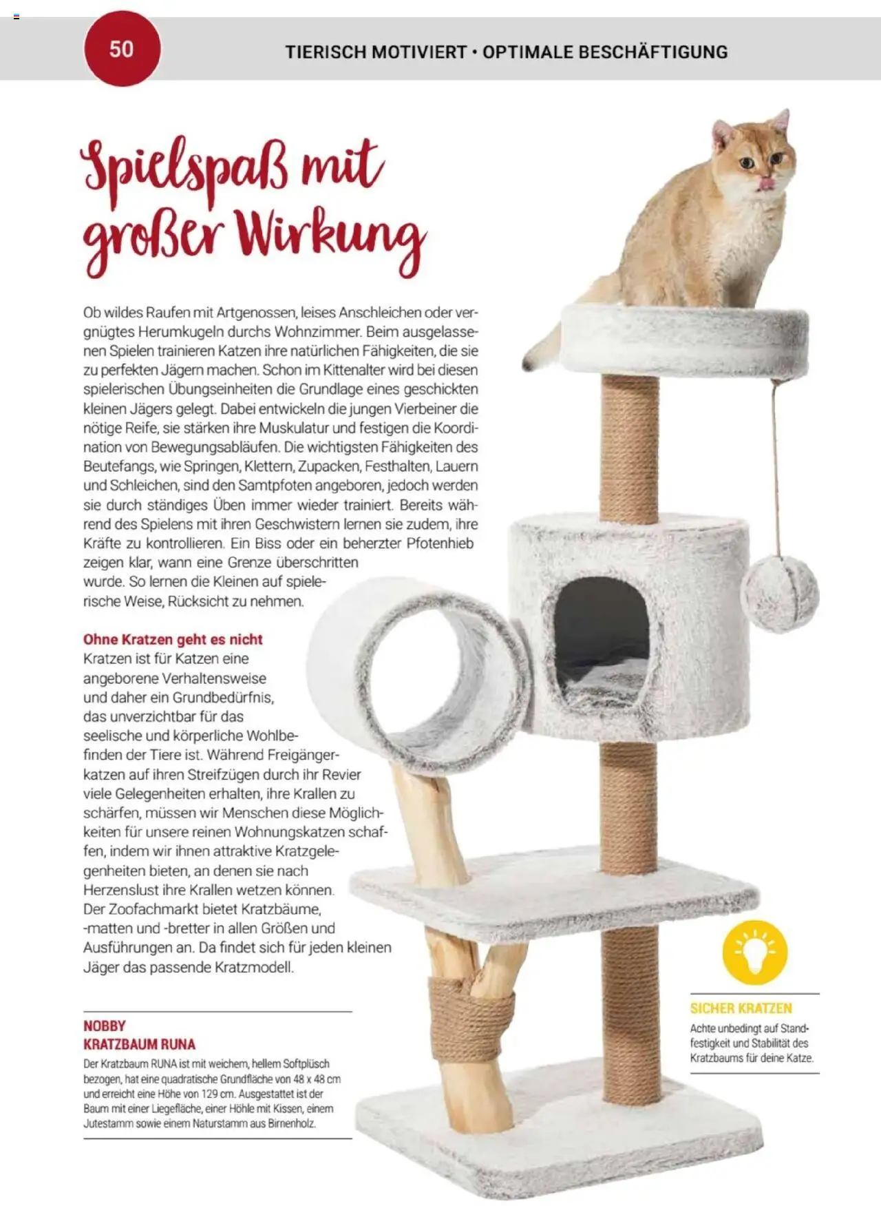 zookauf Themenkatalog Katze - Seite 50 - gültig ab 01.10.2025