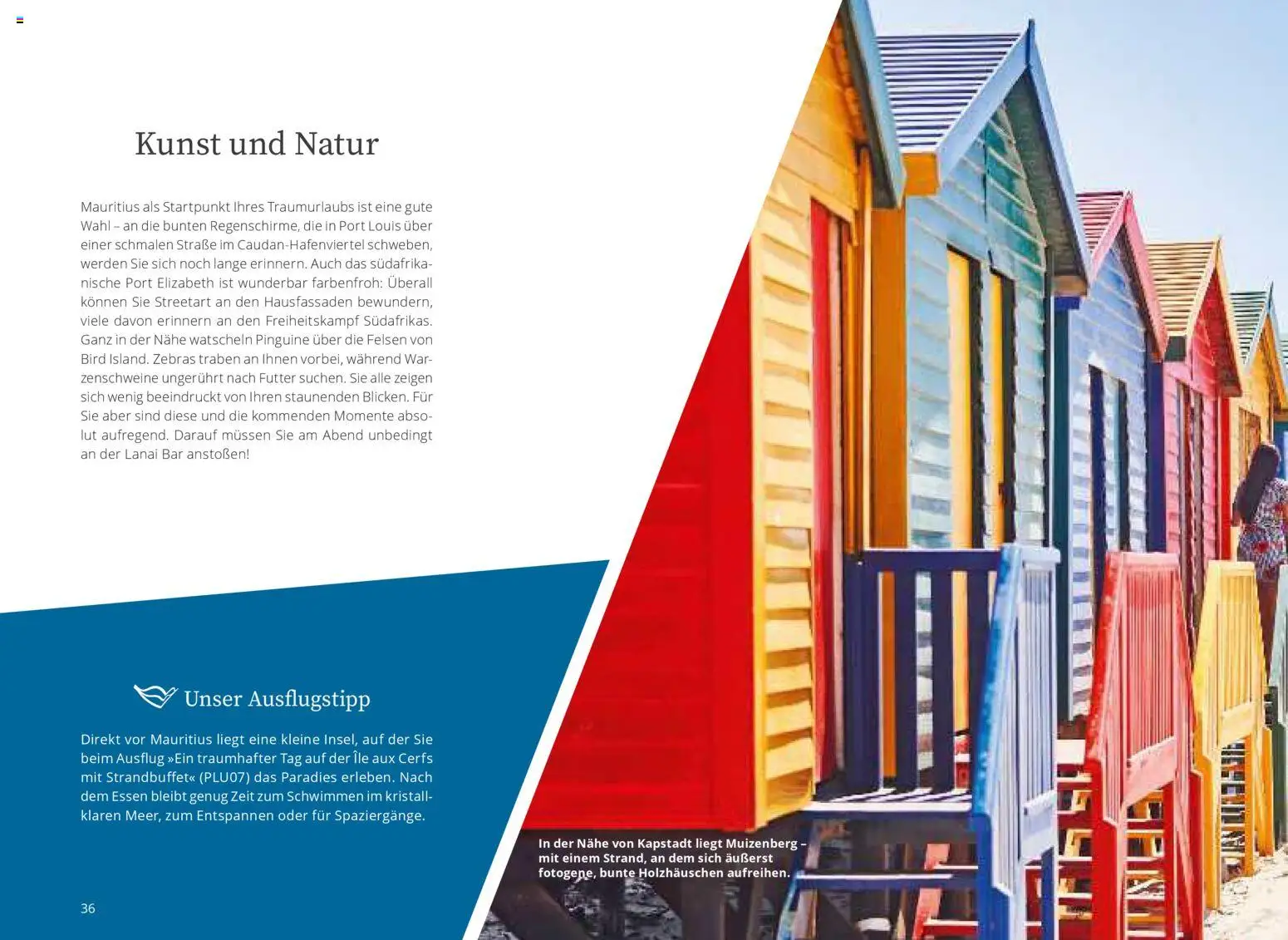 Aida Fernreisen Winter - Seite 36 - gültig ab 01.10.2025