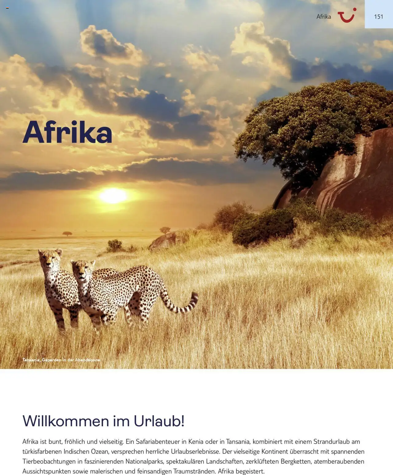 Aida - Asien, Afrika, Orient & Indischer Ozean 2025/26 - Seite 151 - gültig ab 01.11.2025