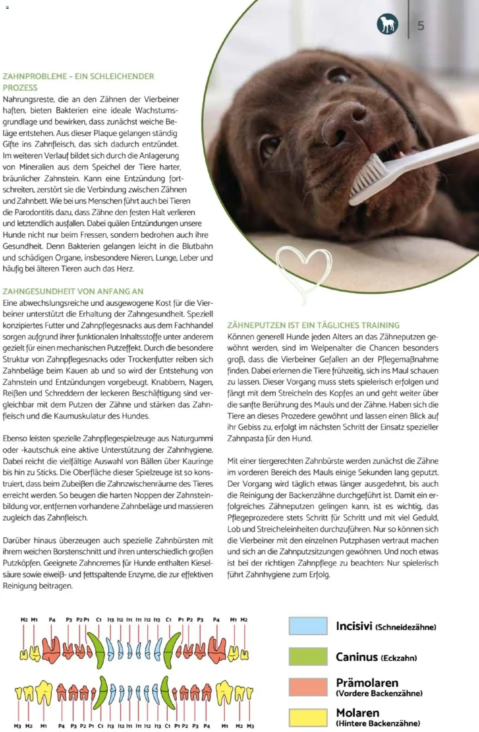 zookauf  Heimtier Journal - Seite 5 - gültig ab 01.02.2026