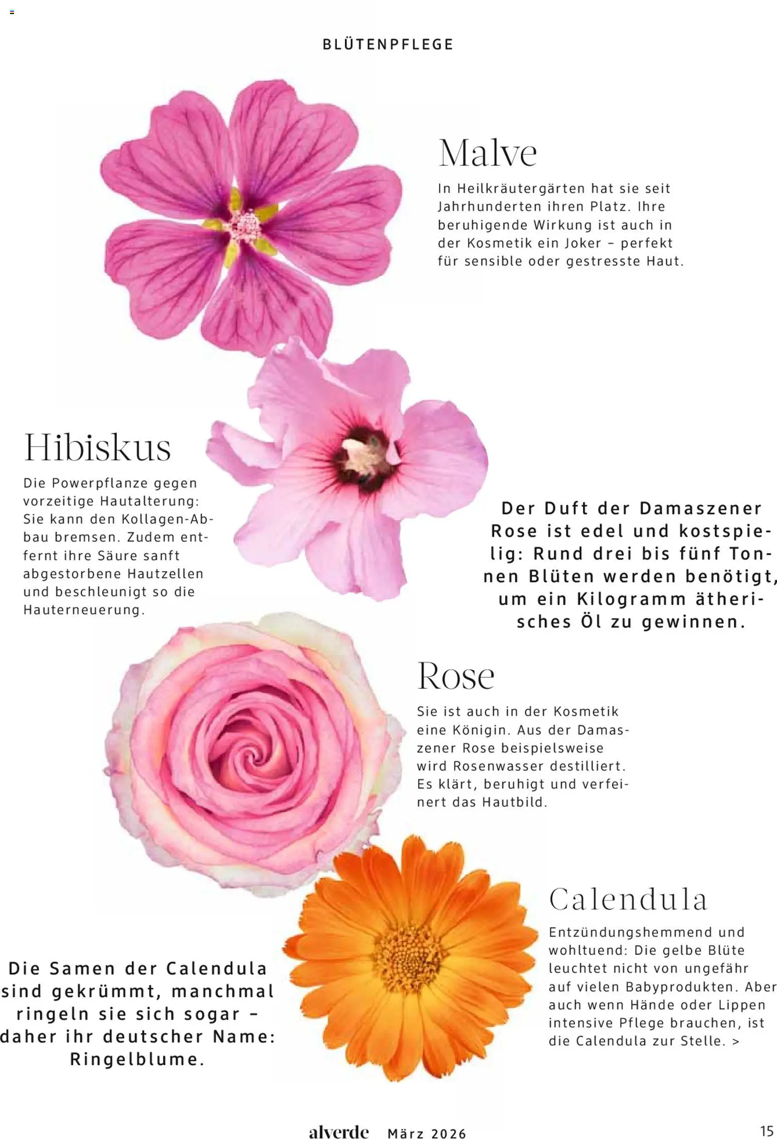 dm drogerie Prospekt 	 - Seite 15 - gültig ab 01.03.2026