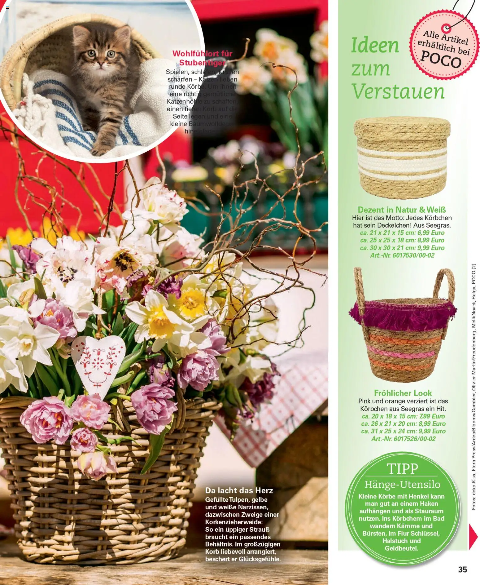 Poco Prospekt Wohnwelt Frühling 2026 - Seite 35 - gültig ab 16.02.2026