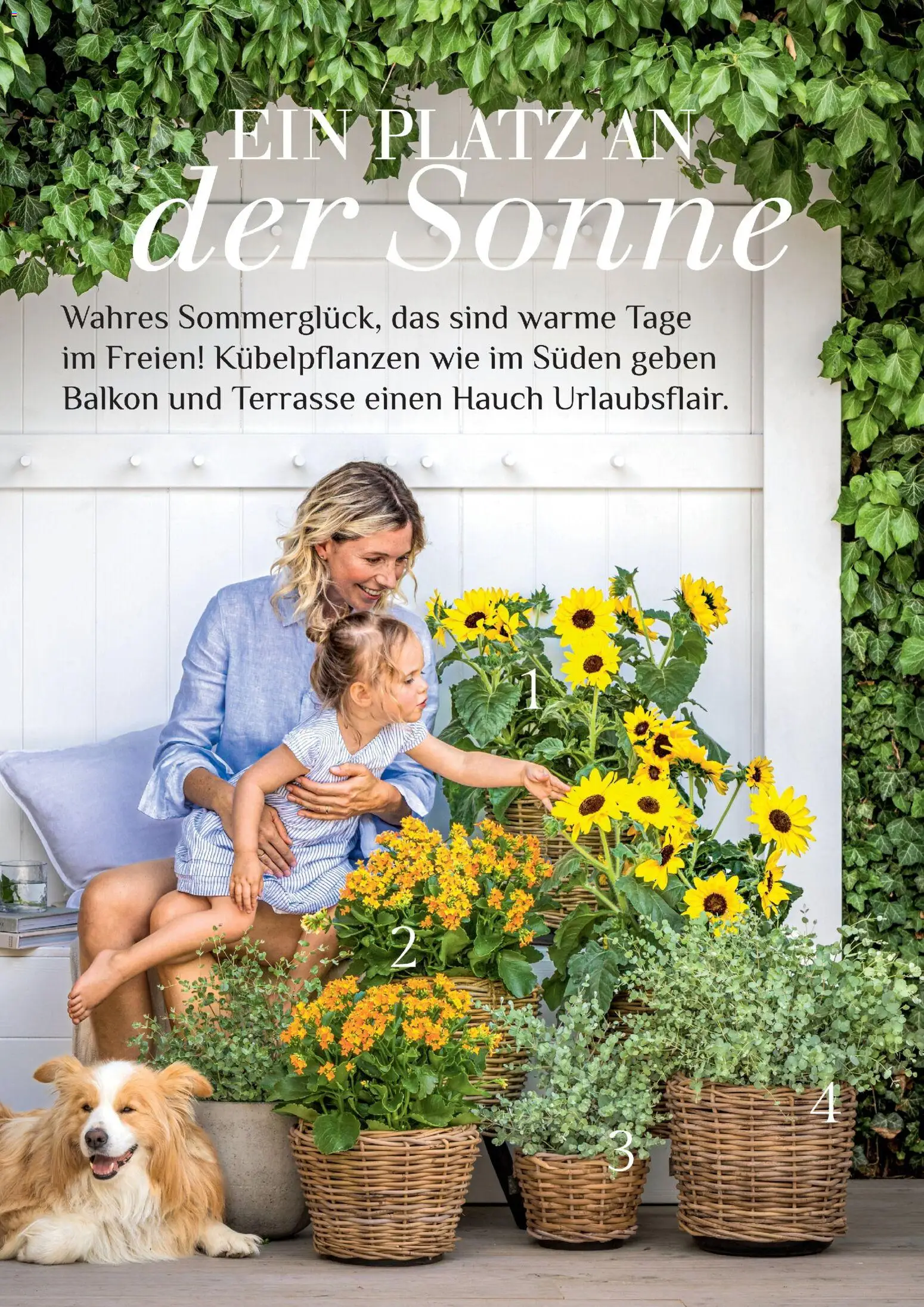 Dehner Prospekt 	 - Seite 30 - gültig ab 17.04.2026