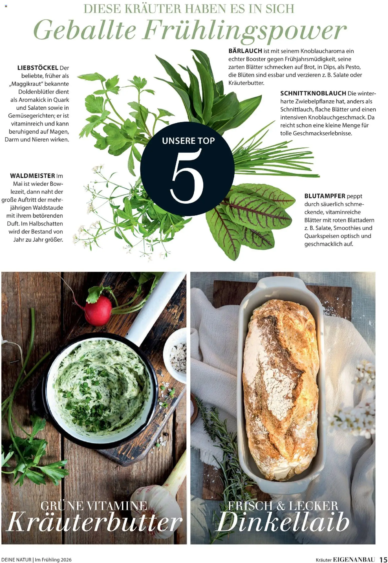 Dehner Prospekt 	 - Seite 15 - gültig ab 04.03.2026