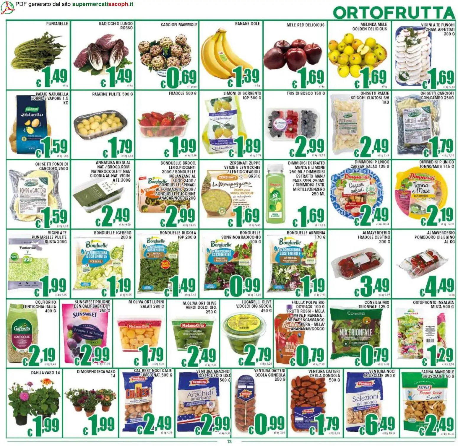 Sacoph volantino - pagina 13 - valido dal 27/03/2026